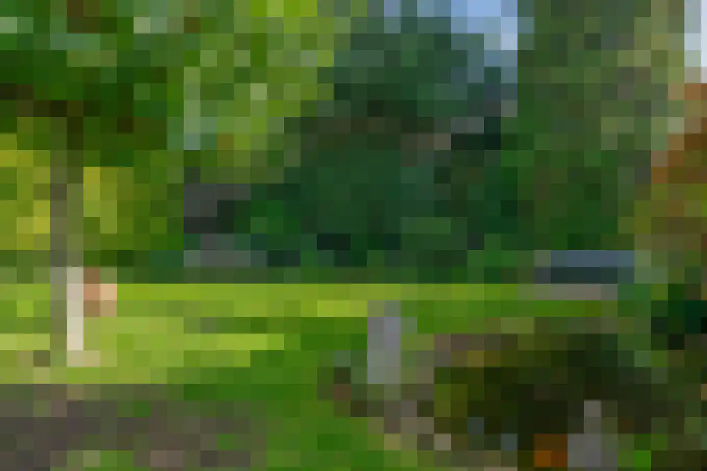 Oostzoom 2 Krimpen aan de Lek thumbnail 12
