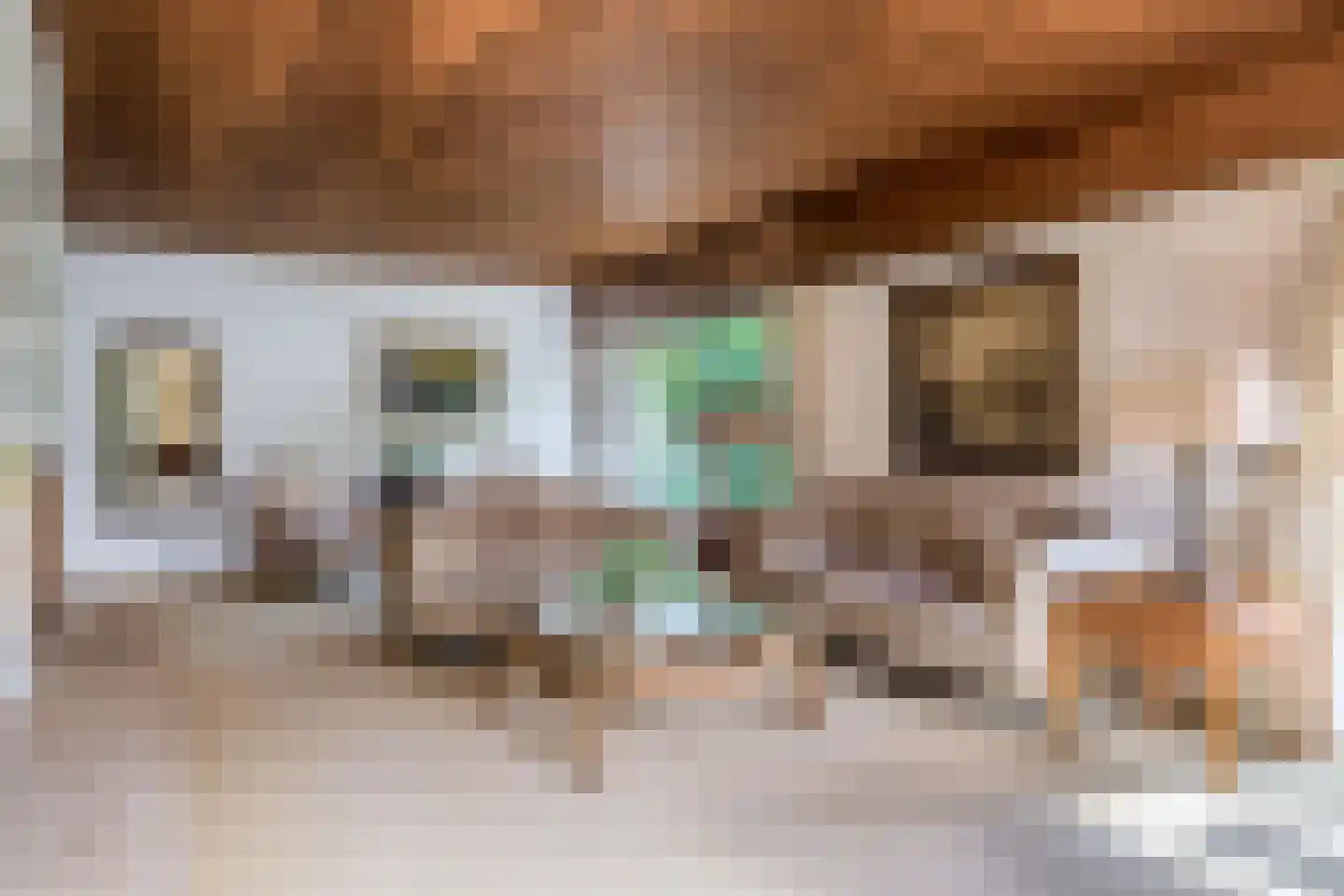 Oostzoom 2 Krimpen aan de Lek thumbnail 26