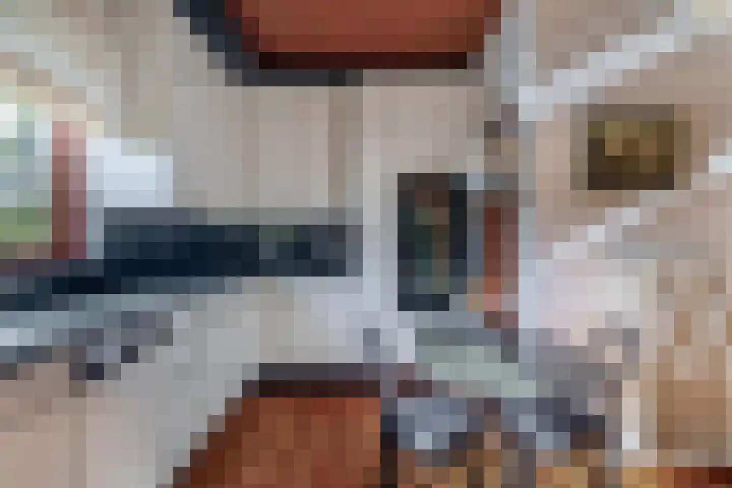Oostzoom 2 Krimpen aan de Lek thumbnail 30