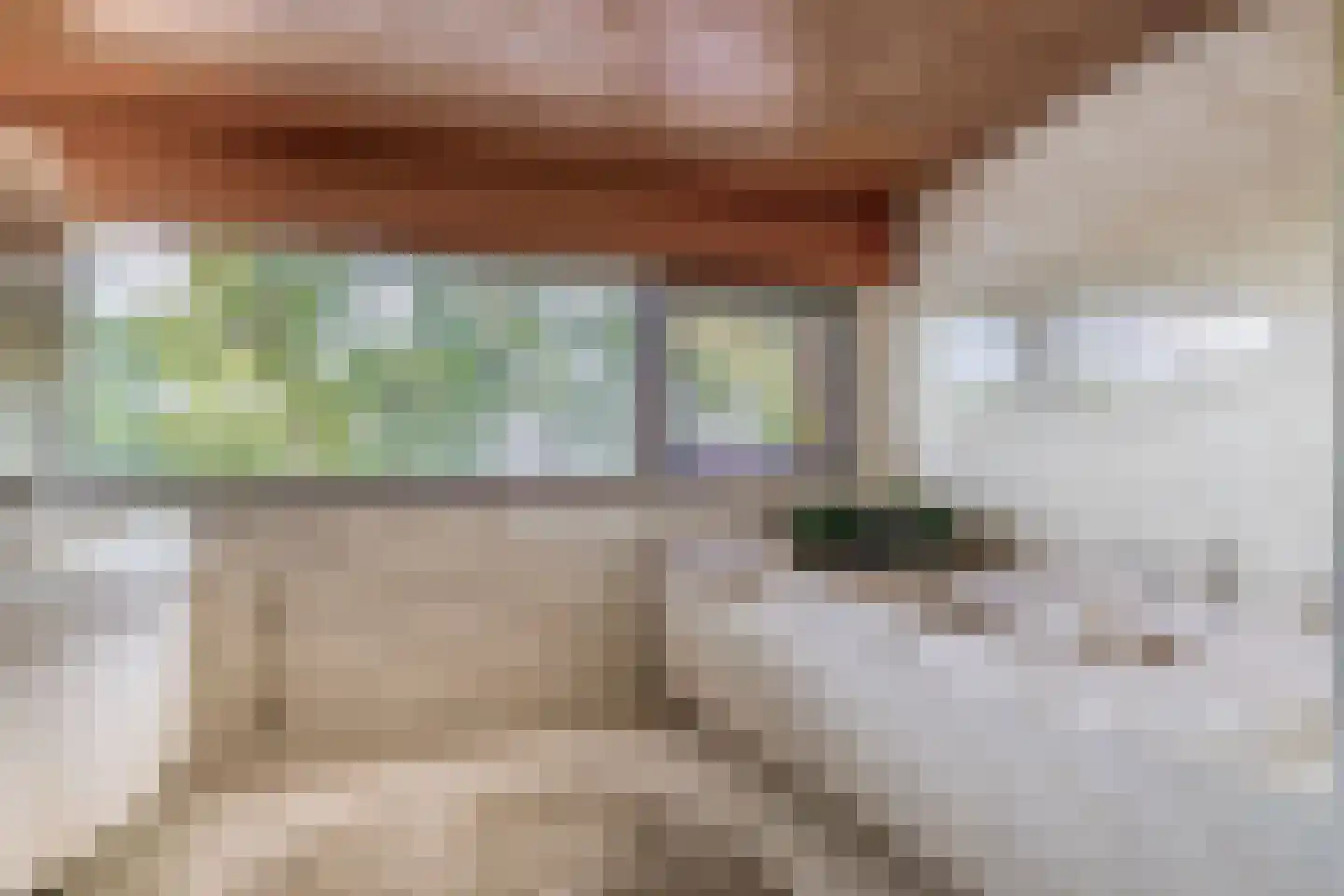 Oostzoom 2 Krimpen aan de Lek thumbnail 40