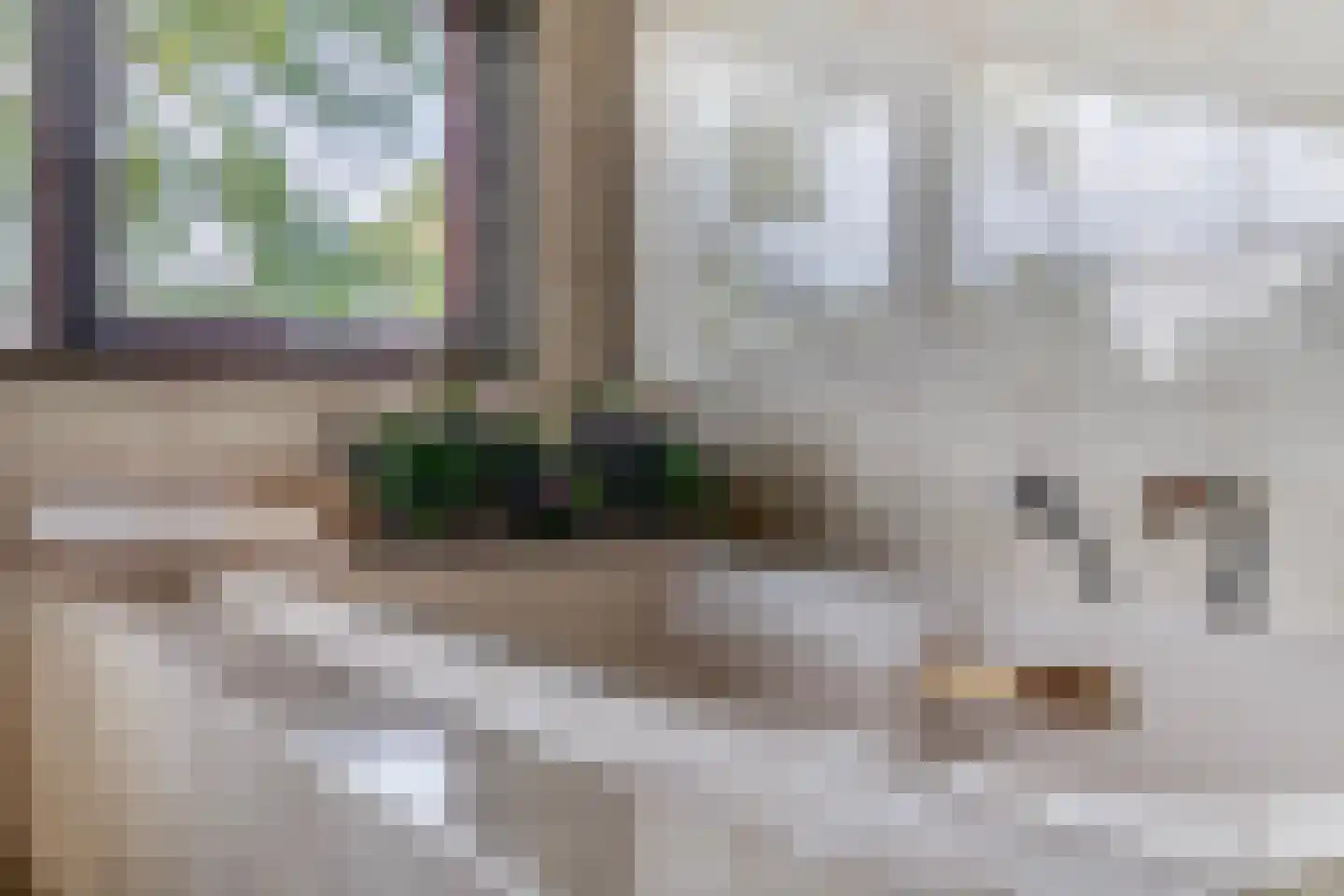 Oostzoom 2 Krimpen aan de Lek thumbnail 42