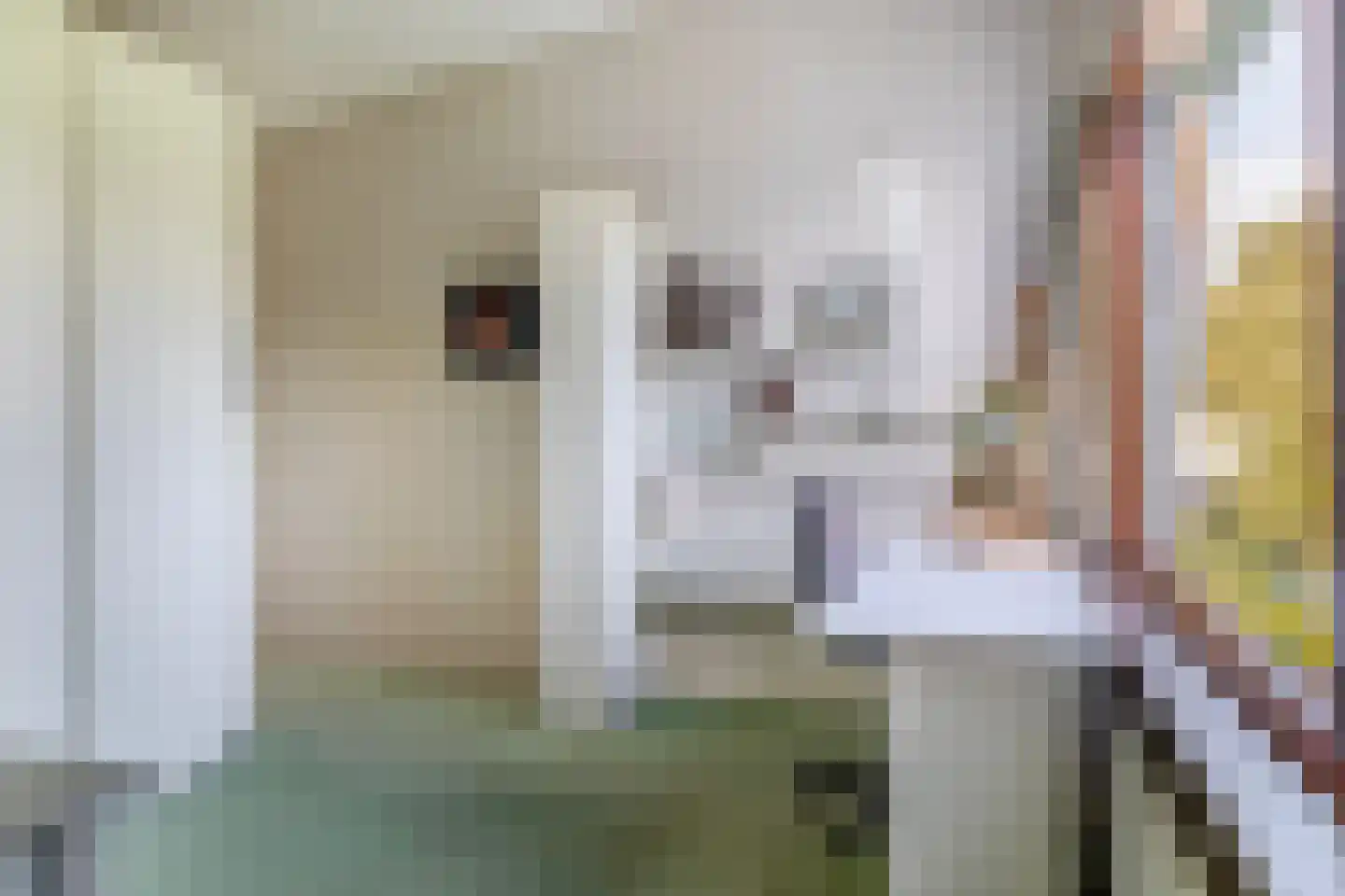 Oostzoom 2 Krimpen aan de Lek thumbnail 49