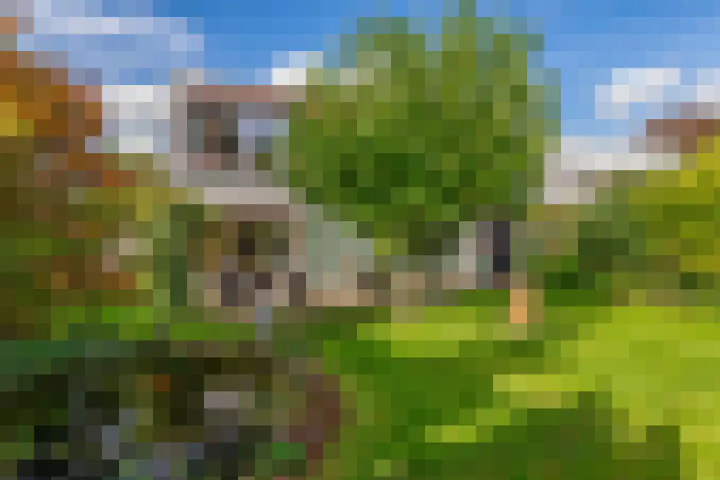 Oostzoom 2 Krimpen aan de Lek thumbnail 56