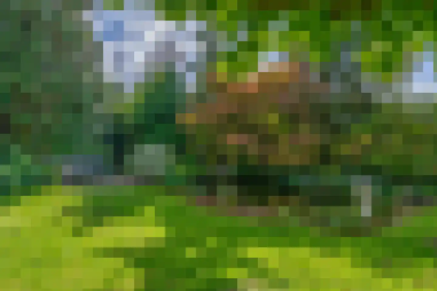 Oostzoom 2 Krimpen aan de Lek thumbnail 60