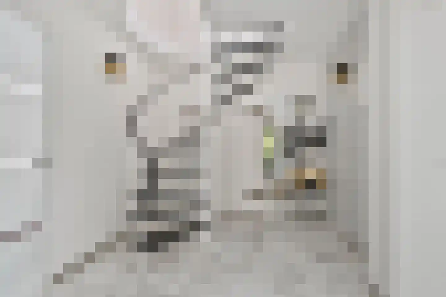 Oostzoom 5 Krimpen aan de Lek thumbnail 11