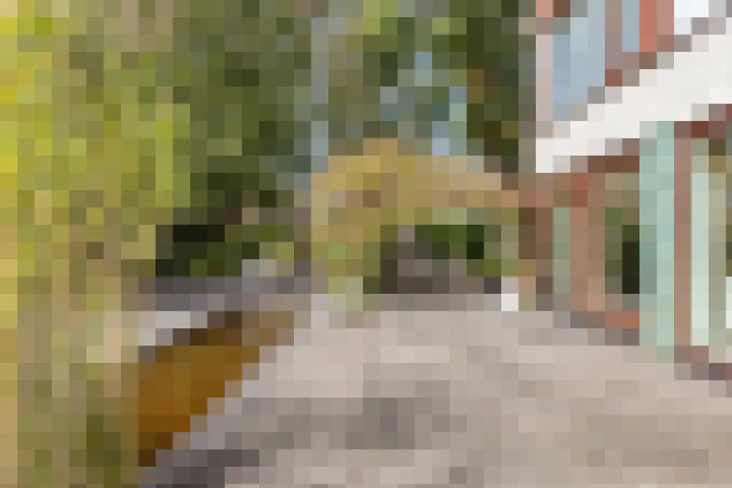 Oostzoom 5 Krimpen aan de Lek thumbnail 30