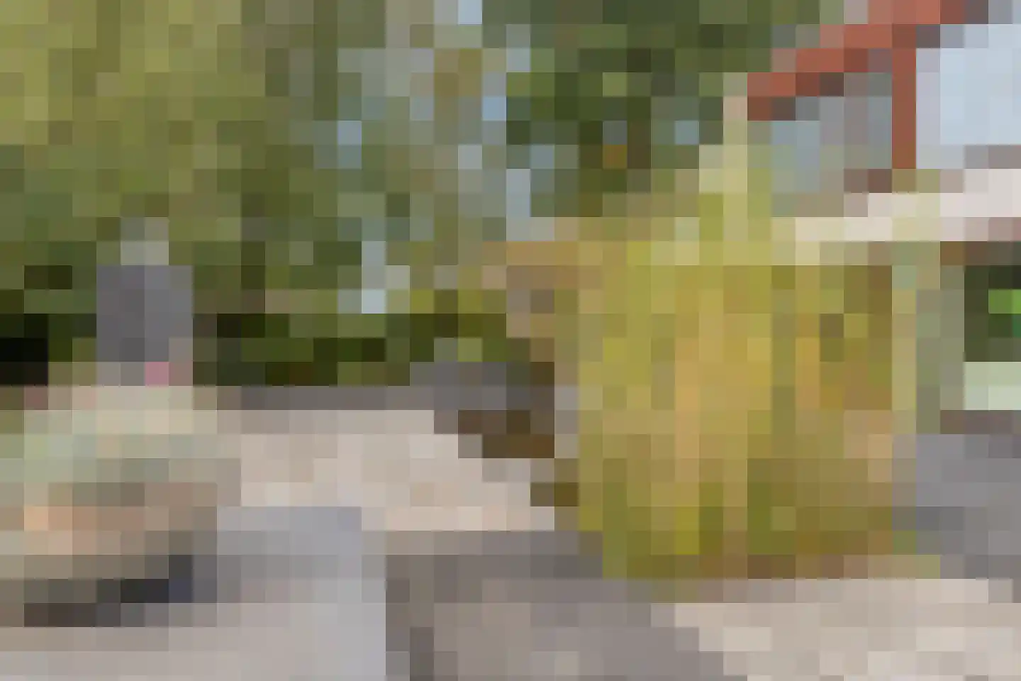 Oostzoom 5 Krimpen aan de Lek thumbnail 32