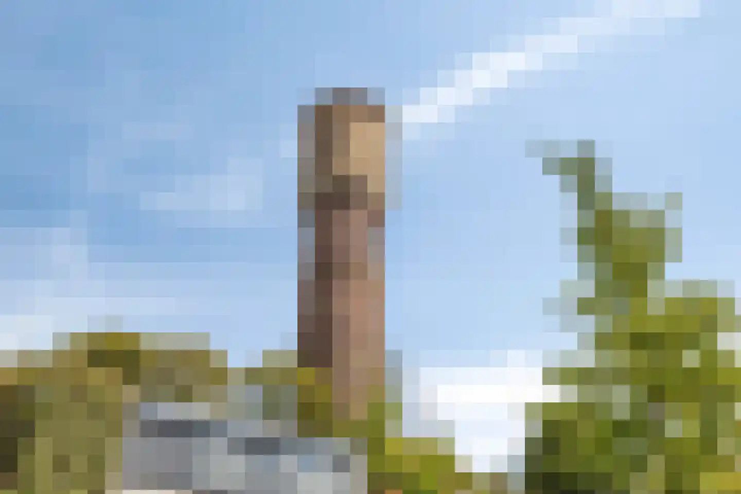 Oostzoom 5 Krimpen aan de Lek thumbnail 34