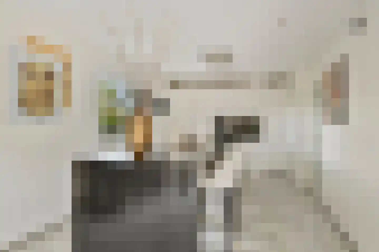Oostzoom 5 Krimpen aan de Lek thumbnail 4