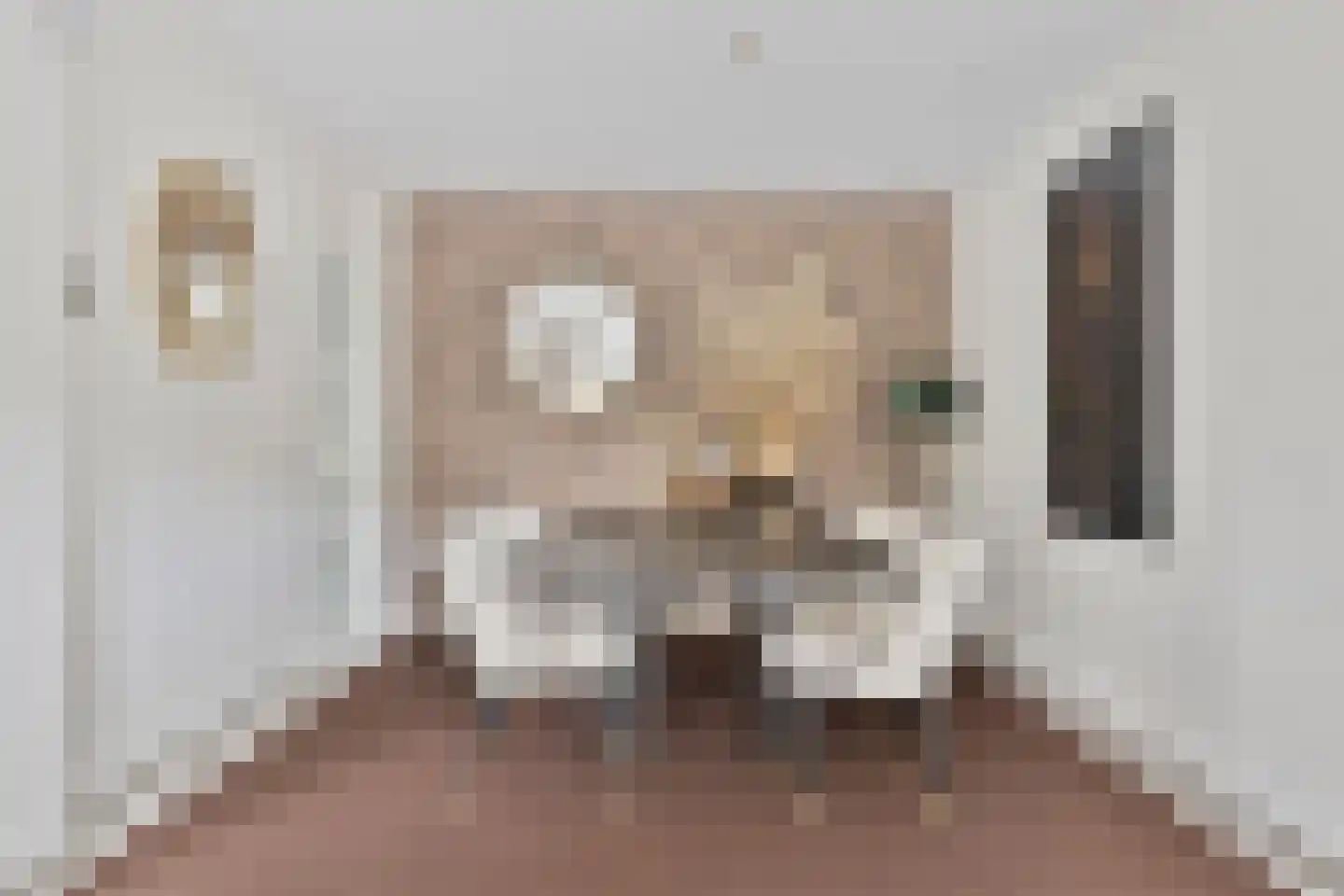 Oostzoom 5 Krimpen aan de Lek thumbnail 7