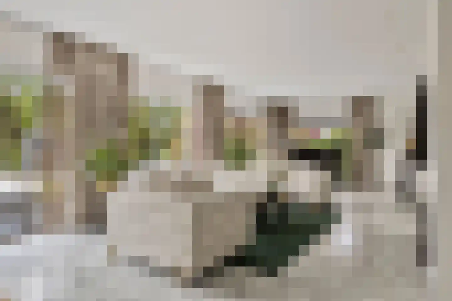 Oostzoom 5 Krimpen aan de Lek thumbnail 9