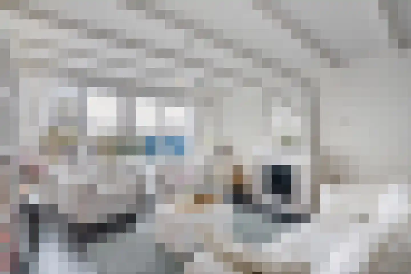 Ootmarsumbrink 3 Enschede thumbnail 10