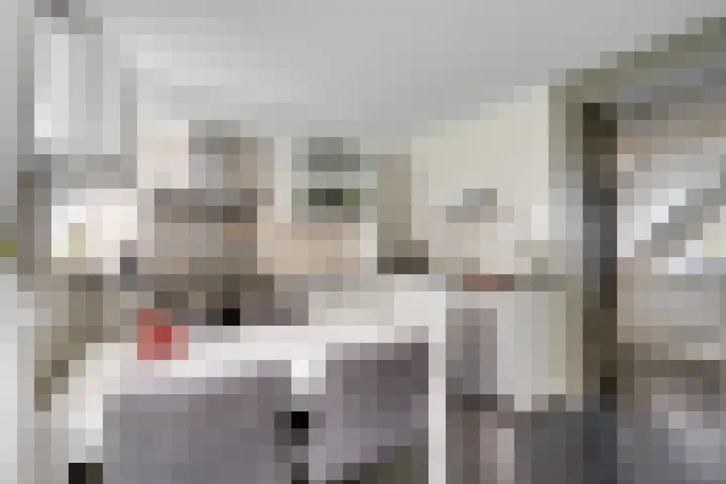 Ootmarsumbrink 3 Enschede thumbnail 19