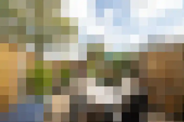 Ootmarsumbrink 3 Enschede thumbnail 33