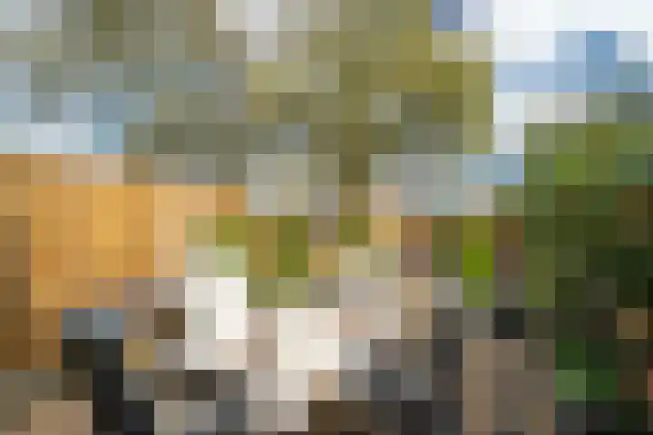 Ootmarsumbrink 3 Enschede thumbnail 35