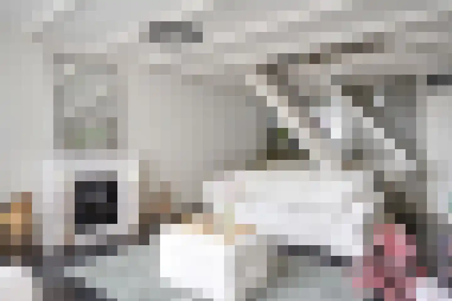 Ootmarsumbrink 3 Enschede thumbnail 9