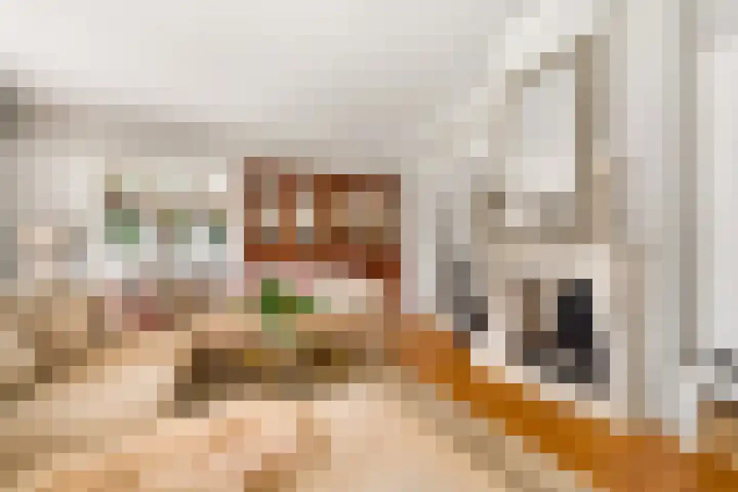 Ootmarsumsestraat 100 Almelo thumbnail 10