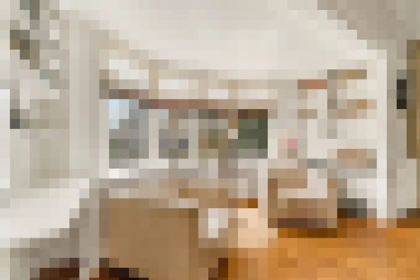 Ootmarsumsestraat 100 Almelo thumbnail 11