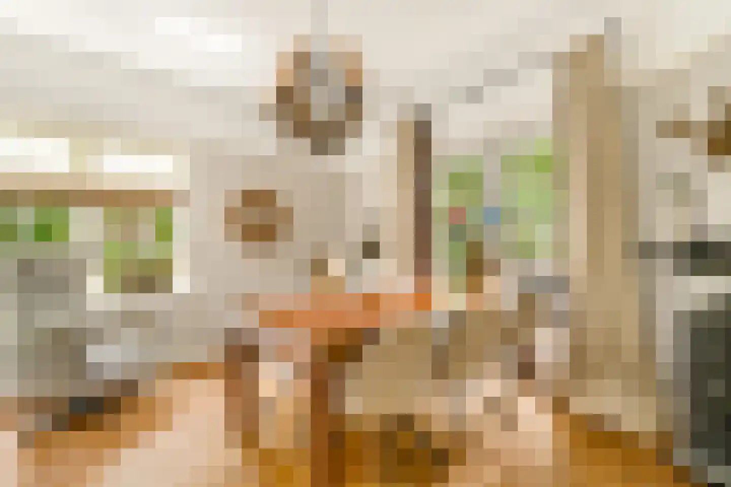 Ootmarsumsestraat 100 Almelo thumbnail 12