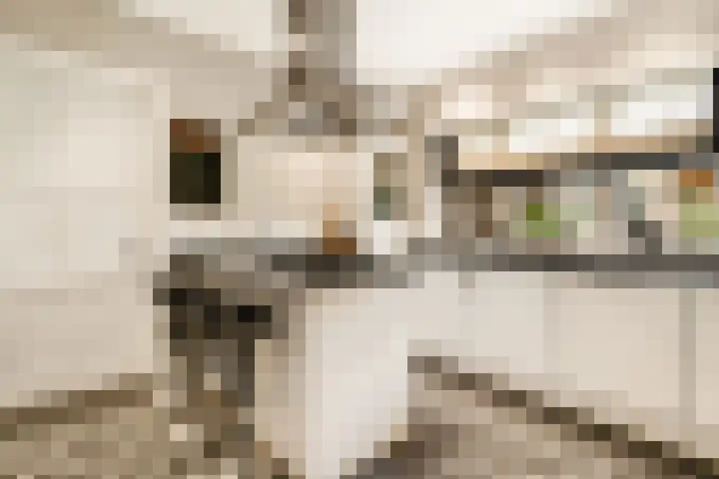 Ootmarsumsestraat 100 Almelo thumbnail 14