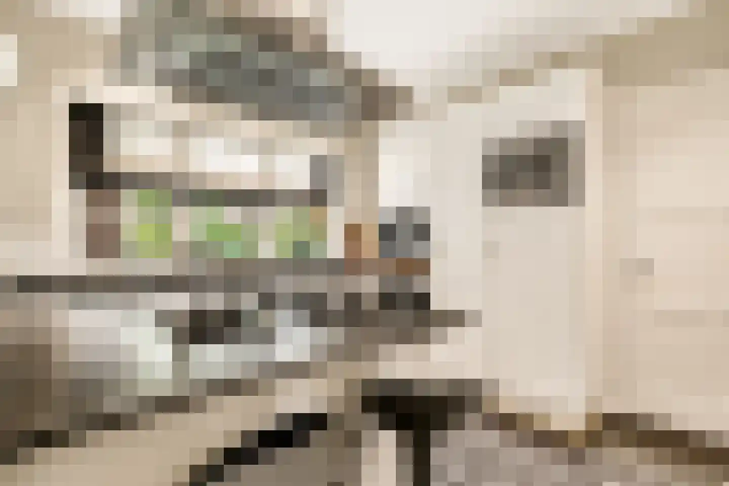 Ootmarsumsestraat 100 Almelo thumbnail 15