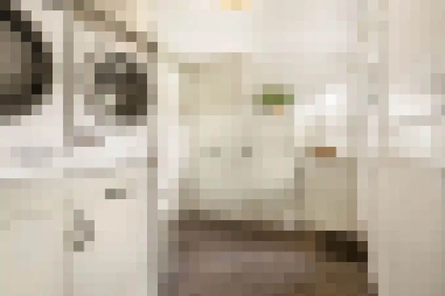 Ootmarsumsestraat 100 Almelo thumbnail 18