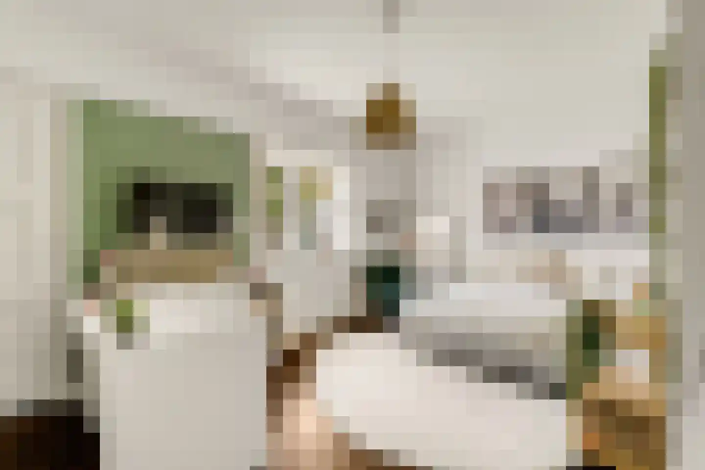 Ootmarsumsestraat 100 Almelo thumbnail 32
