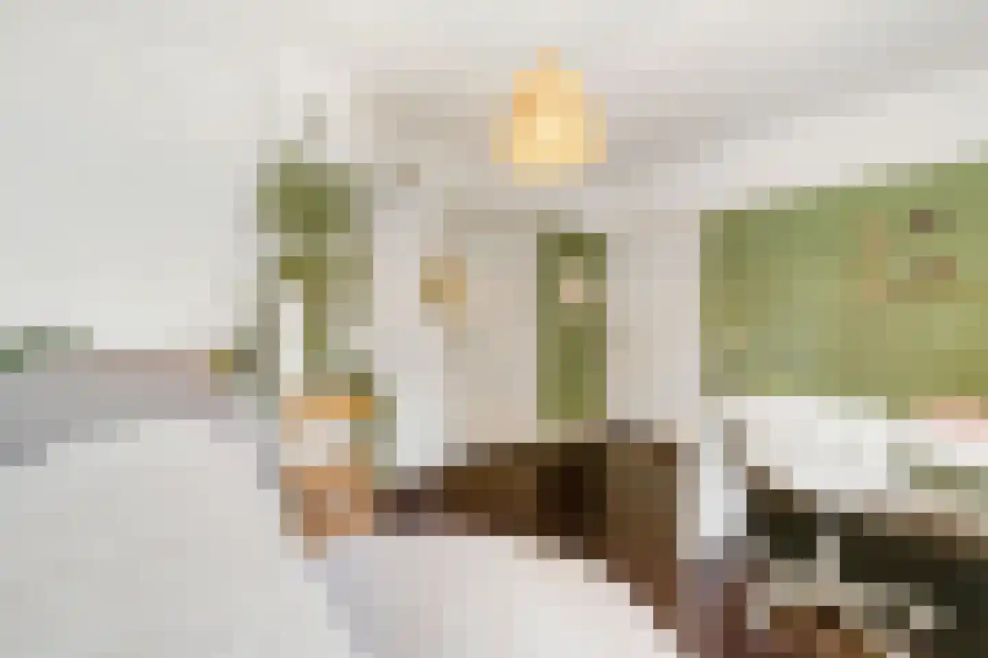 Ootmarsumsestraat 100 Almelo thumbnail 33
