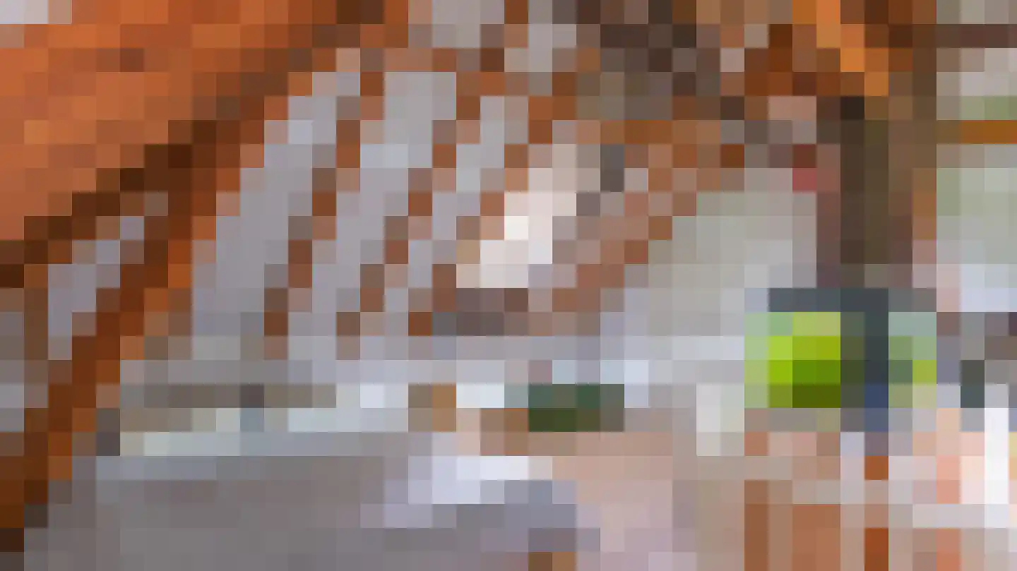 Ootmarsumsestraat 100 Almelo thumbnail 37