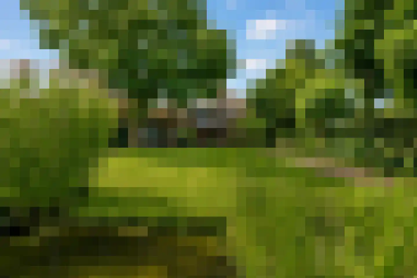 Ootmarsumsestraat 100 Almelo thumbnail 4