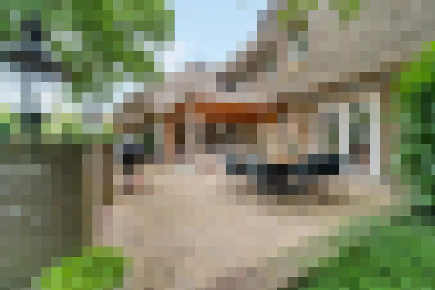 Ootmarsumsestraat 100 Almelo thumbnail 42