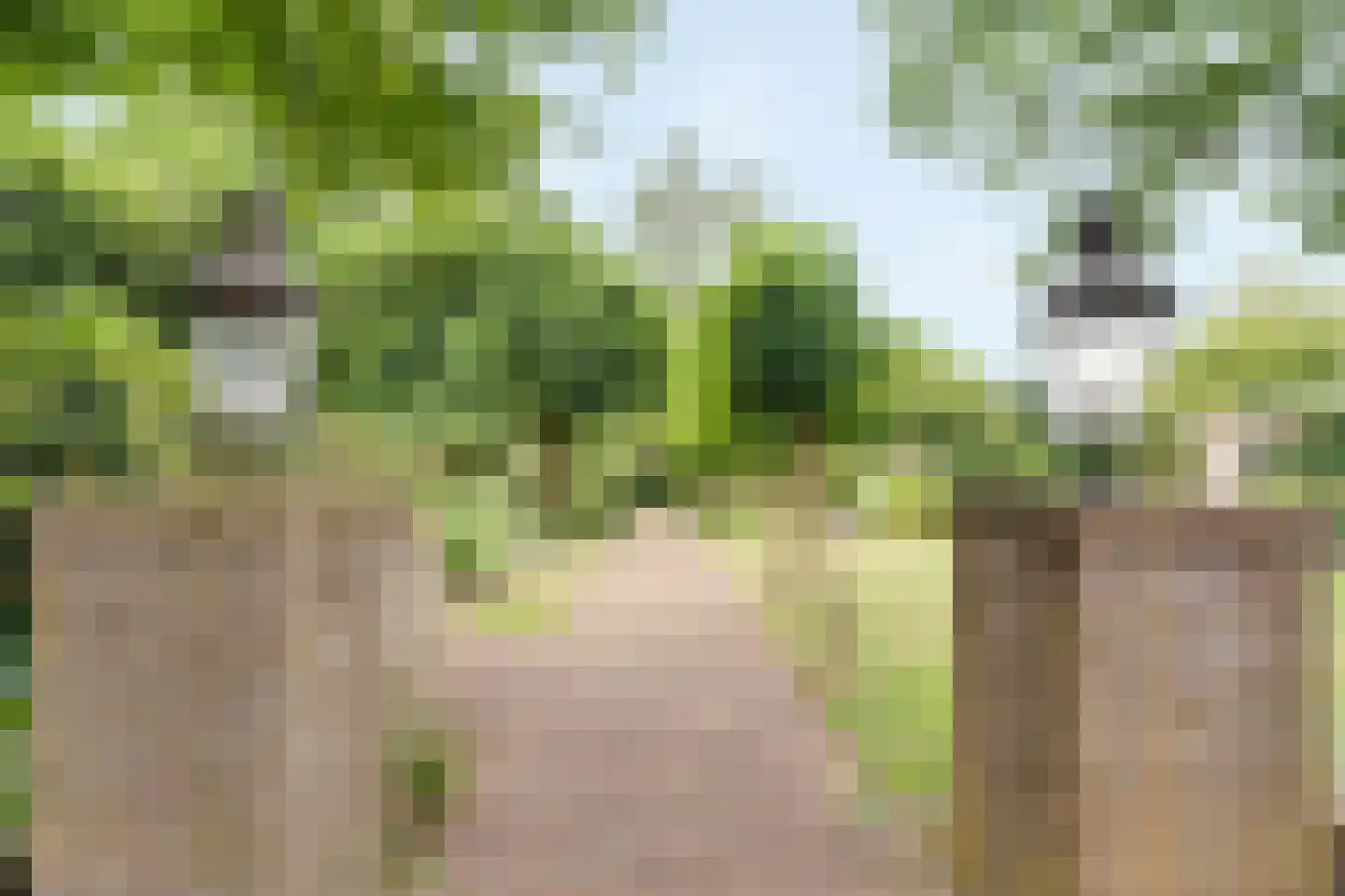 Ootmarsumsestraat 100 Almelo thumbnail 49