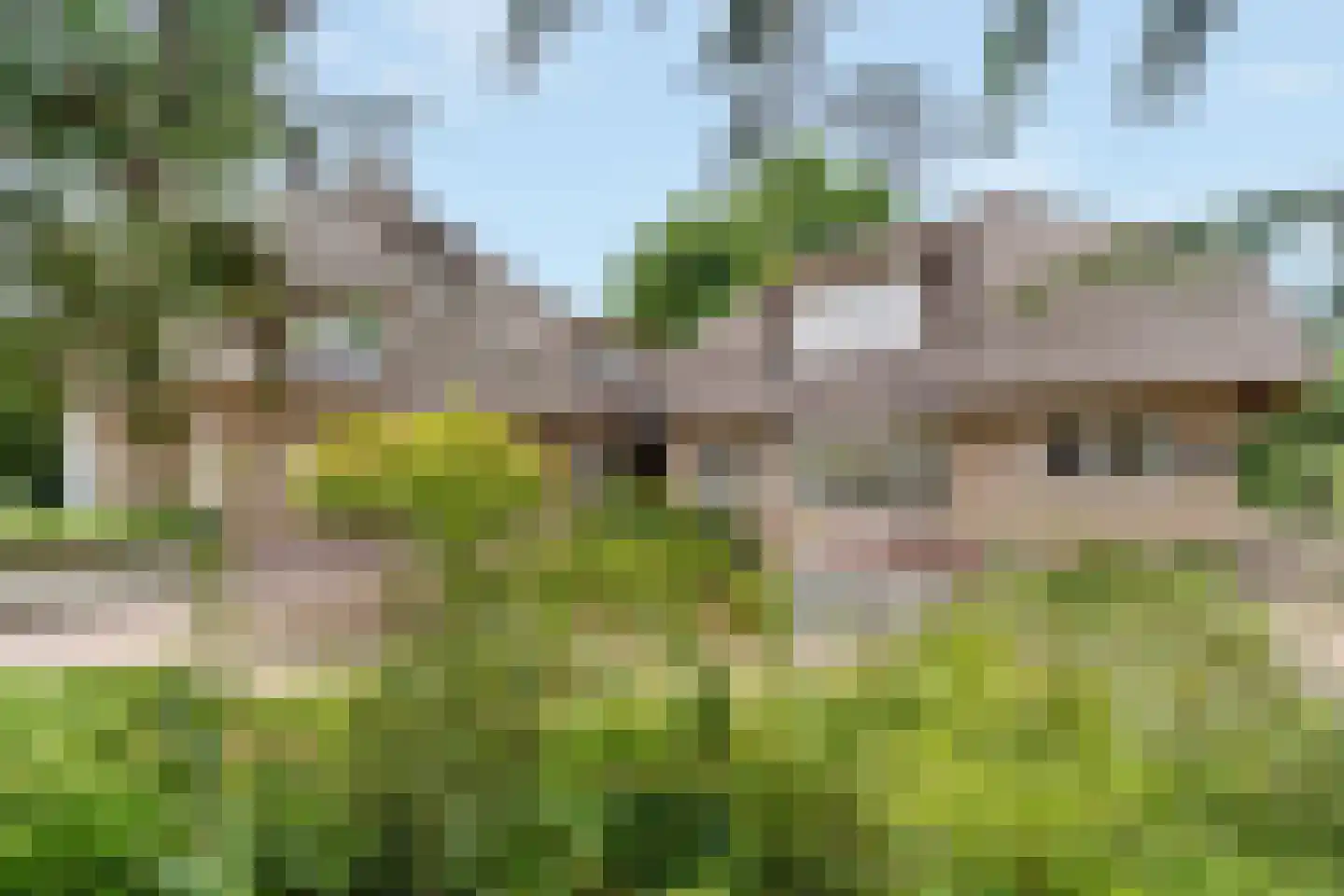 Ootmarsumsestraat 100 Almelo thumbnail 50