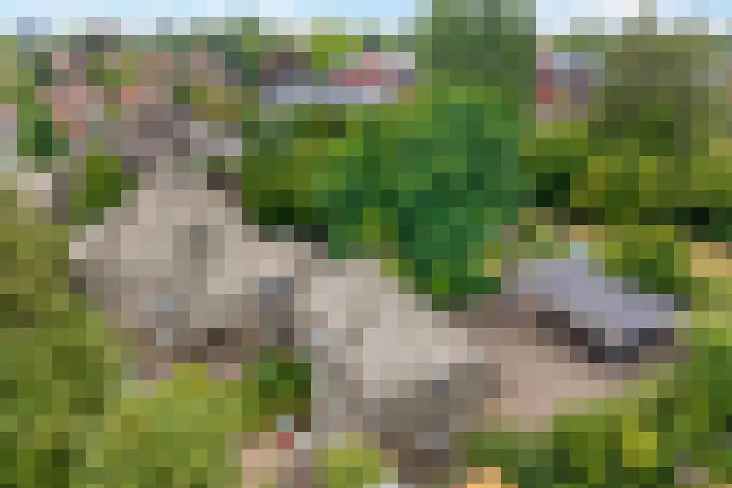 Ootmarsumsestraat 100 Almelo thumbnail 6