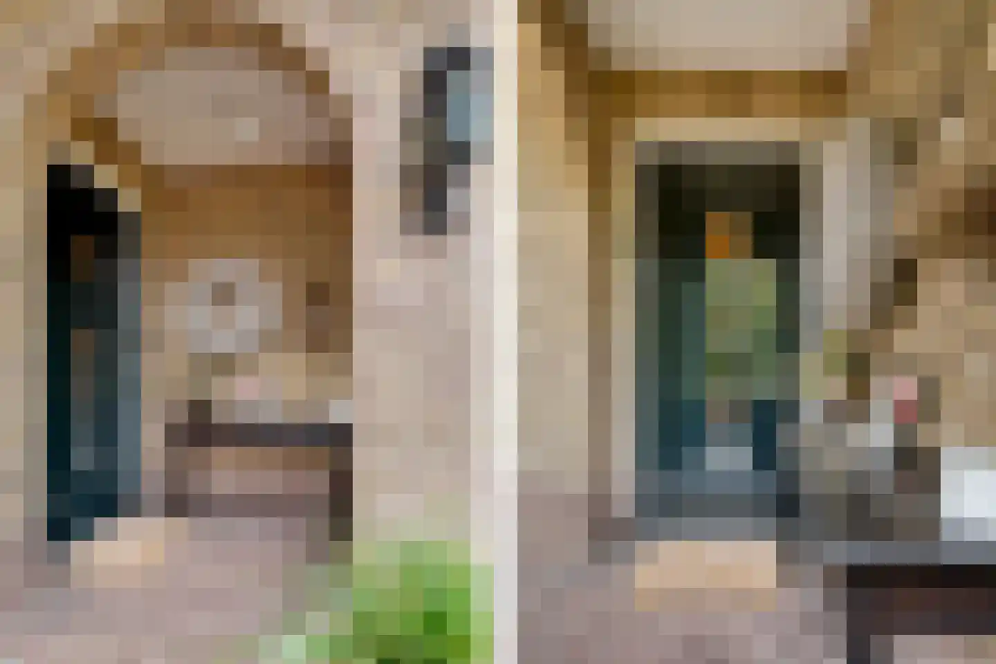 Ootmarsumsestraat 100 Almelo thumbnail 7