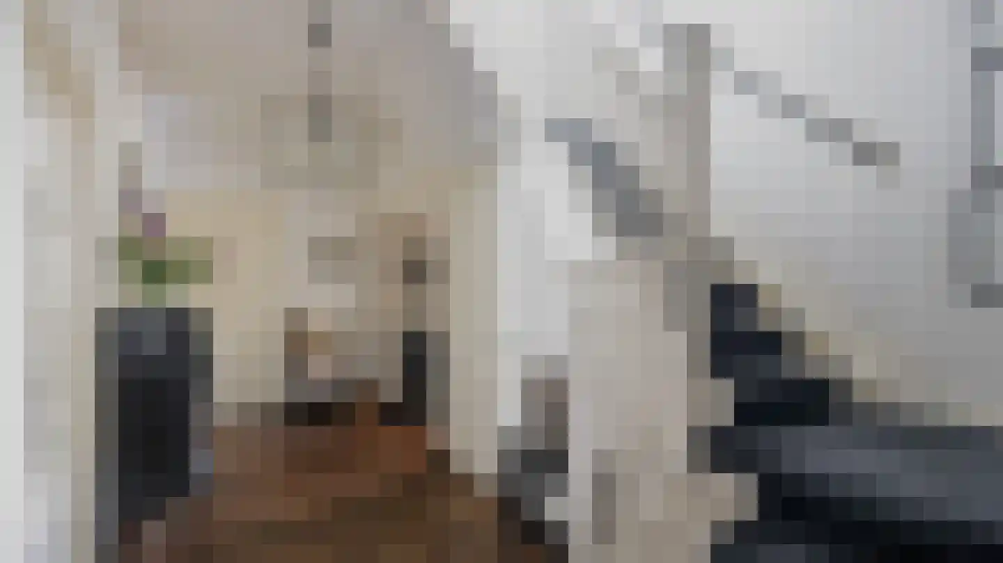 Ootmarsumsestraat 100 Almelo thumbnail 8