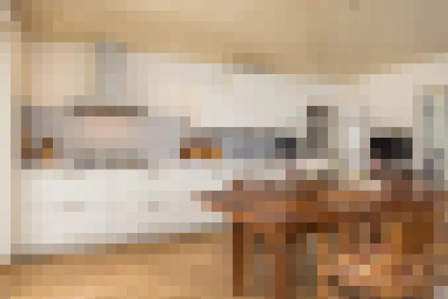 Ootmarsumsestraat 116 Tilligte thumbnail 15