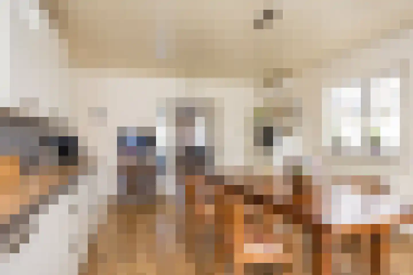 Ootmarsumsestraat 116 Tilligte thumbnail 17