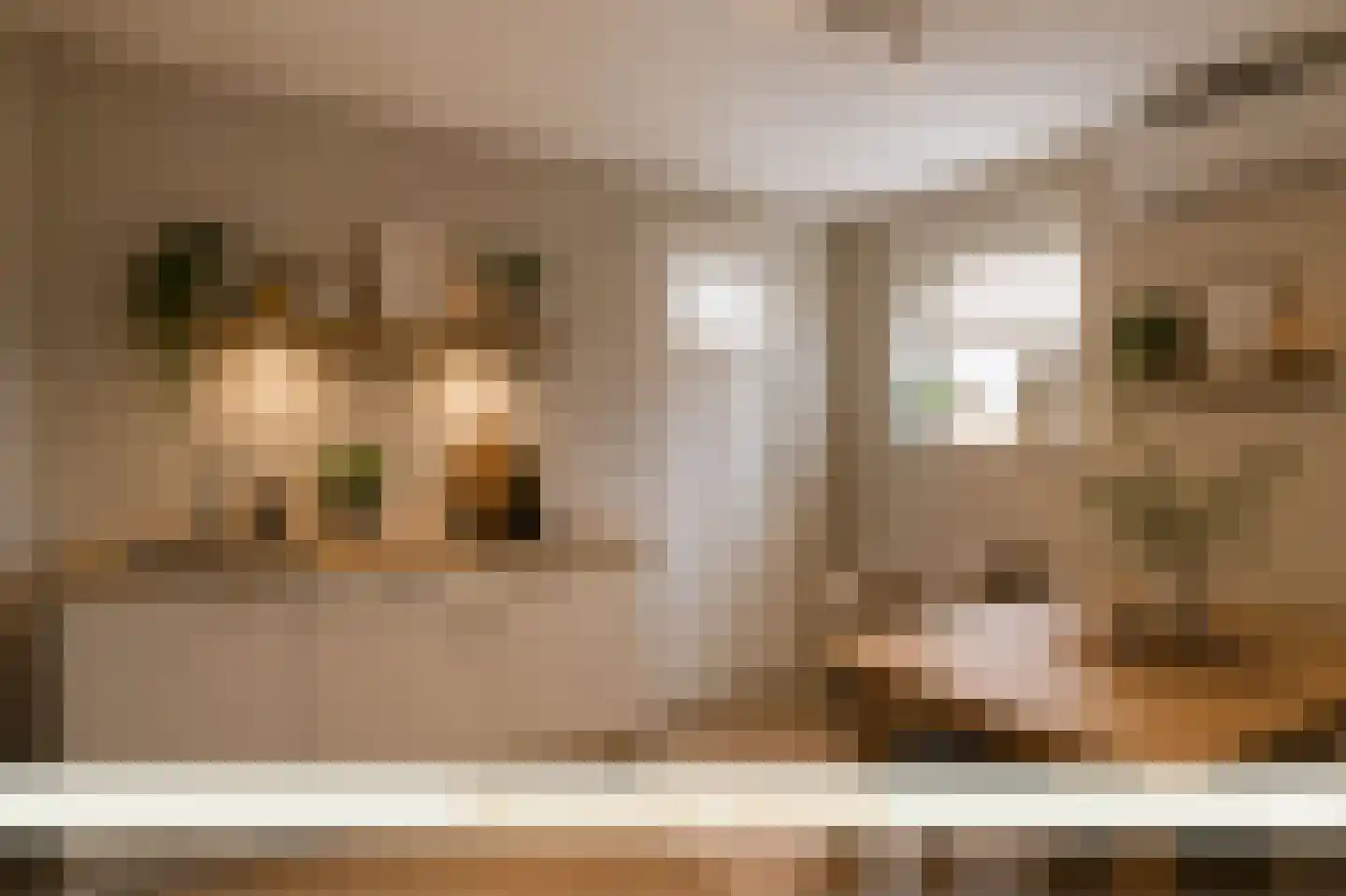 Ootmarsumsestraat 116 Tilligte thumbnail 20