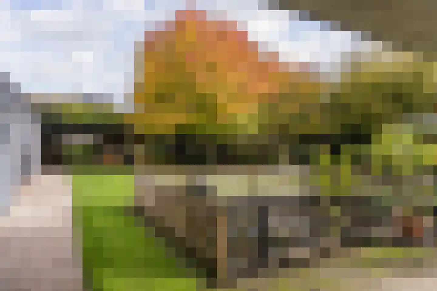 Ootmarsumsestraat 116 Tilligte thumbnail 25