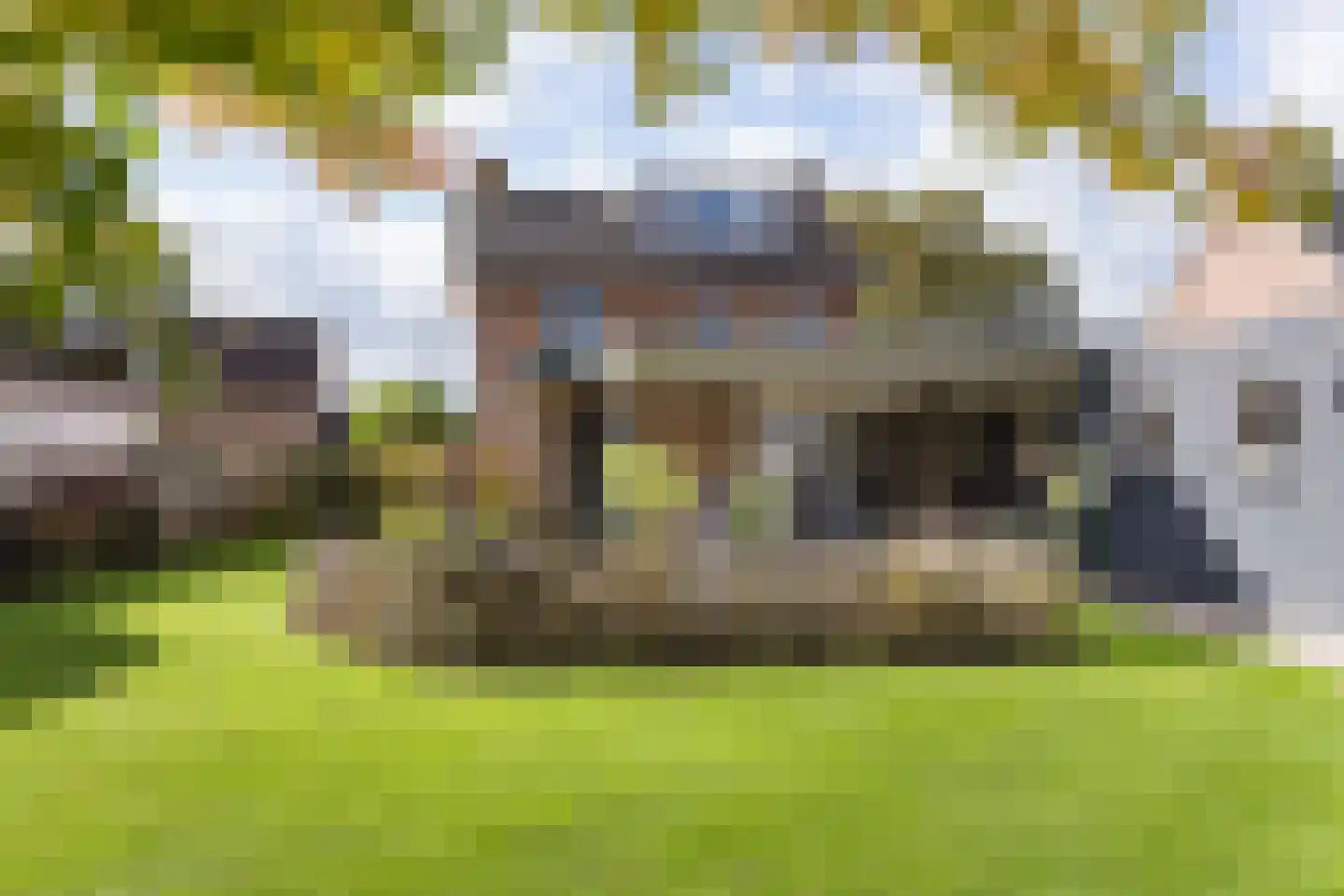 Ootmarsumsestraat 116 Tilligte thumbnail 27