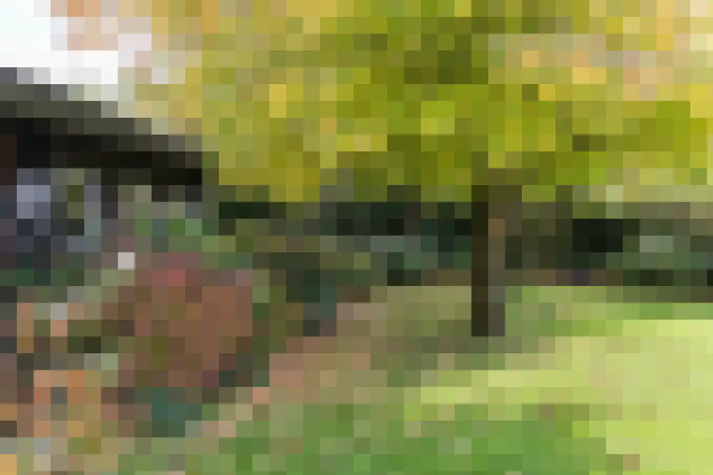 Ootmarsumsestraat 116 Tilligte thumbnail 28