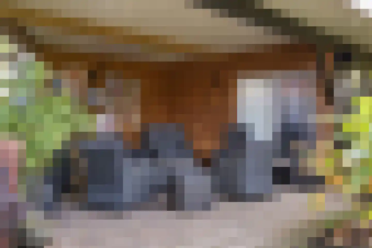Ootmarsumsestraat 116 Tilligte thumbnail 30