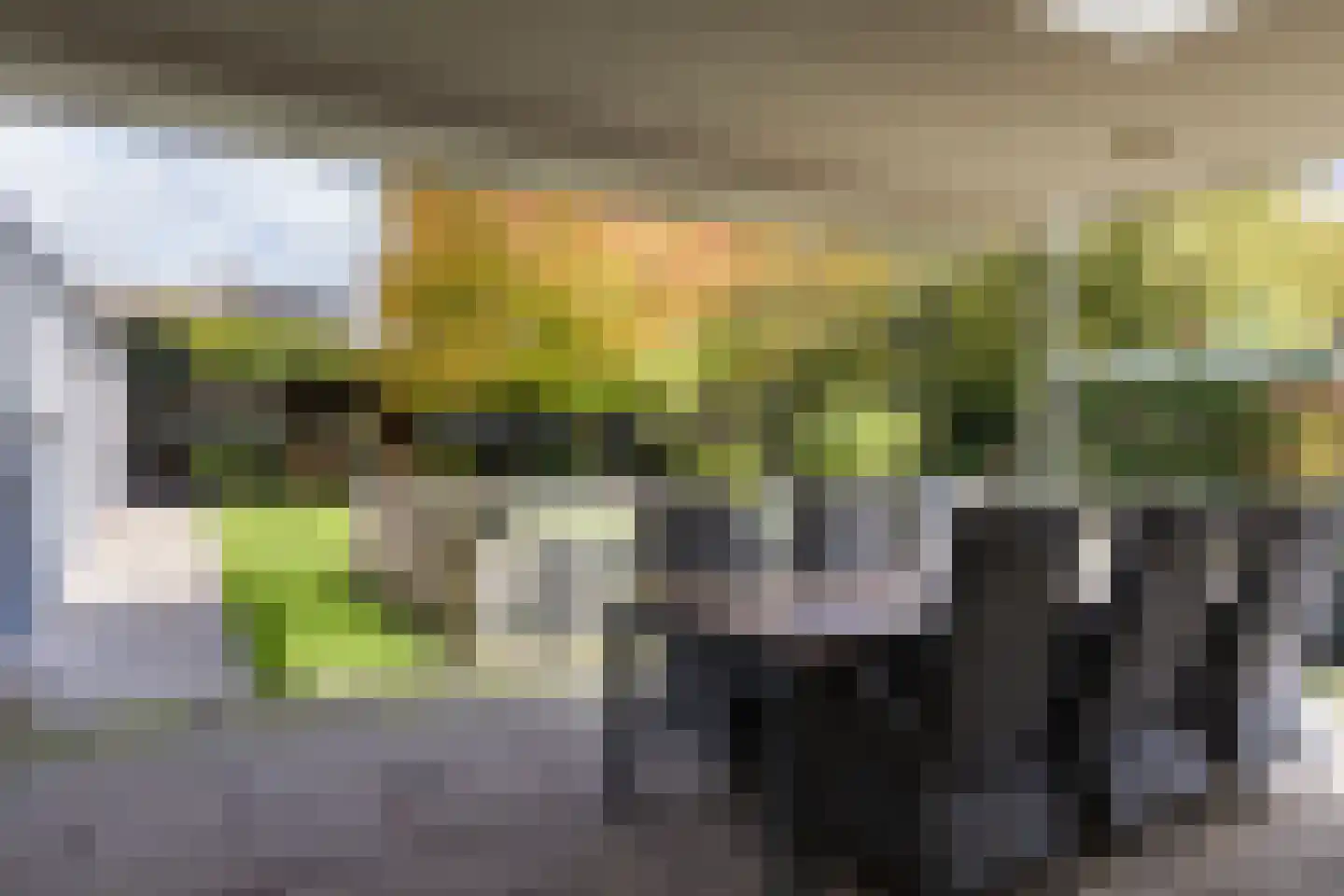Ootmarsumsestraat 116 Tilligte thumbnail 33