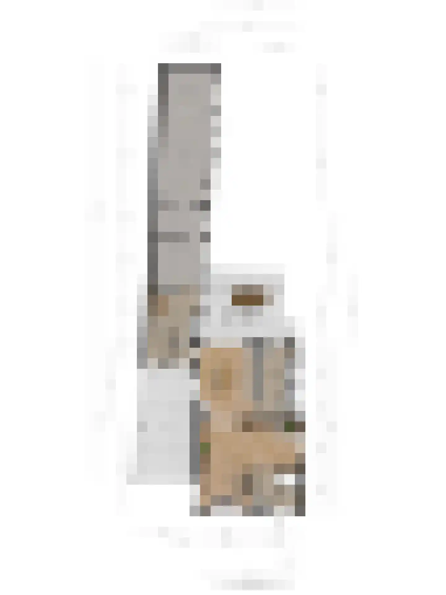 Ootmarsumsestraat 116 Tilligte thumbnail 37