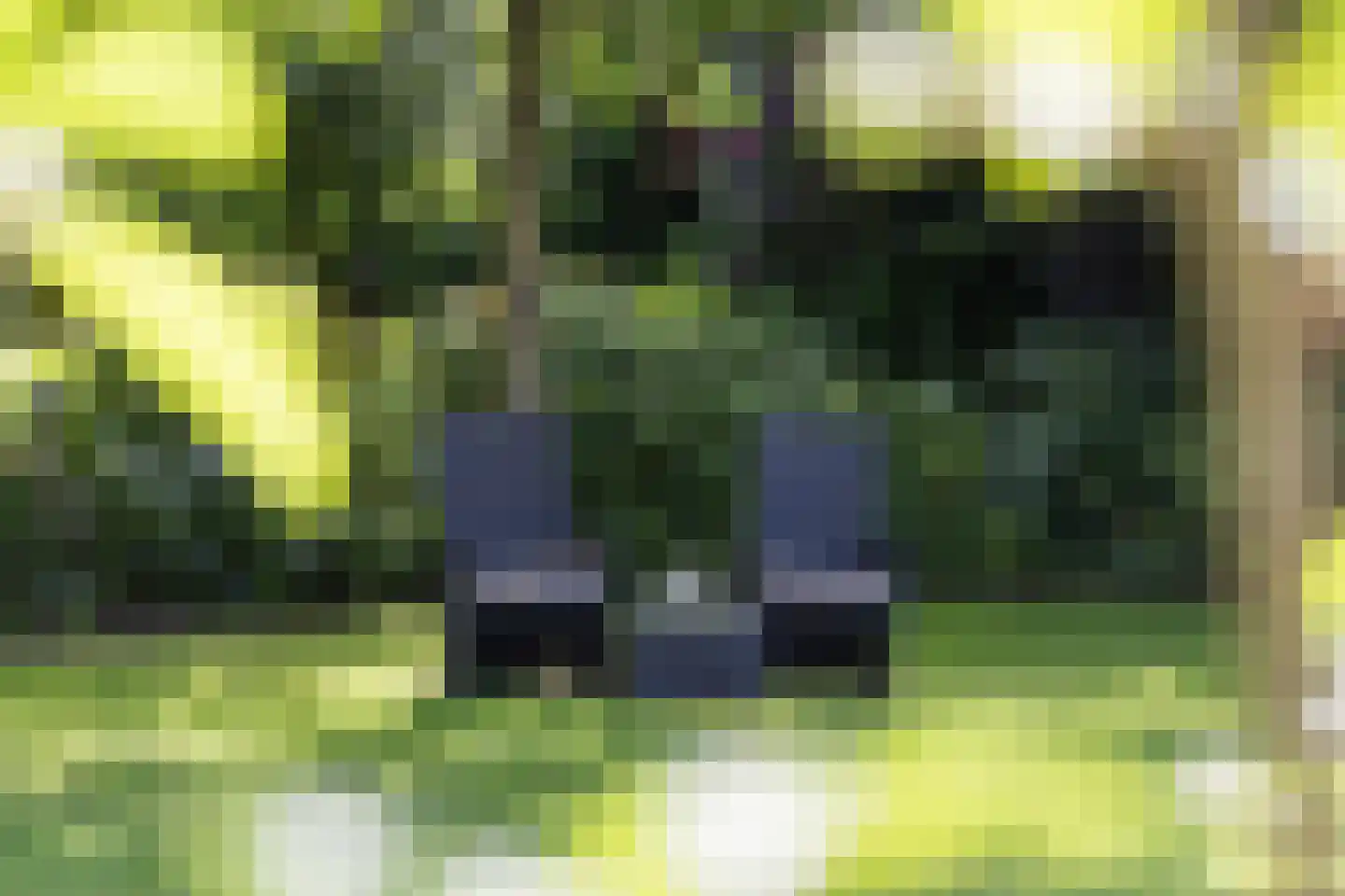 Ootmarsumsestraat 116 Tilligte thumbnail 43