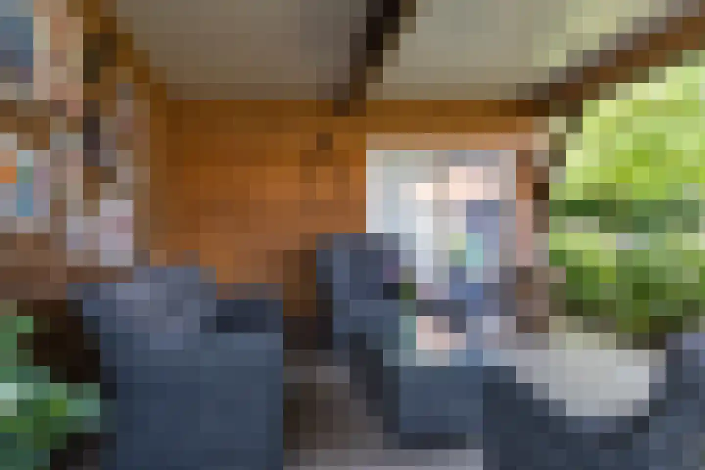 Ootmarsumsestraat 116 Tilligte thumbnail 46