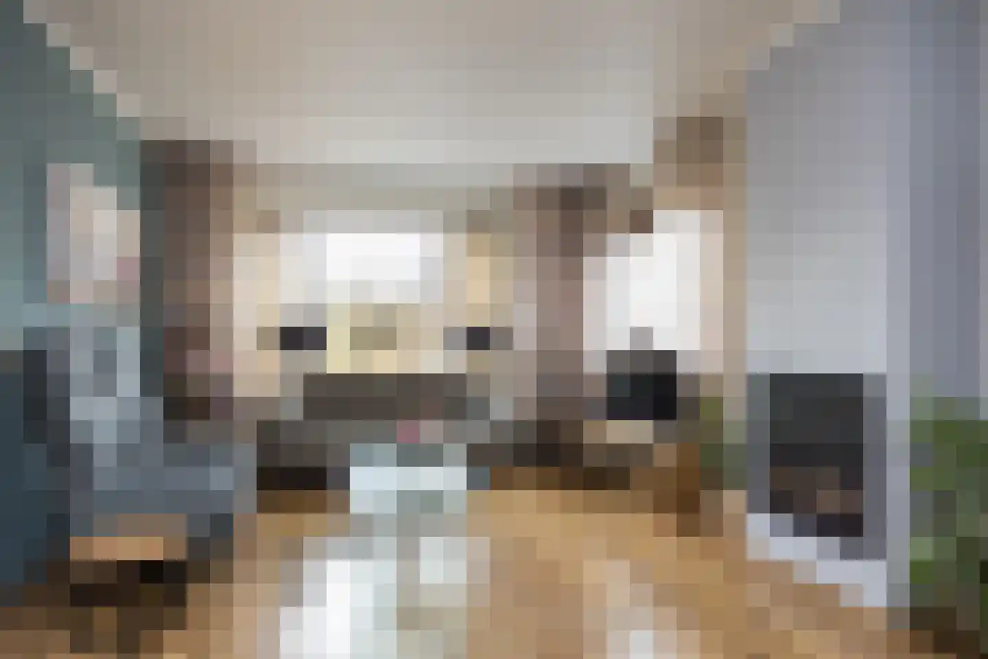 Ootmarsumsestraat 116 Tilligte thumbnail 6