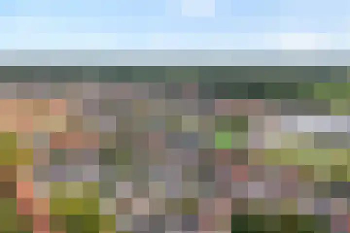 Ootmarsumsestraat 137 Almelo thumbnail 4