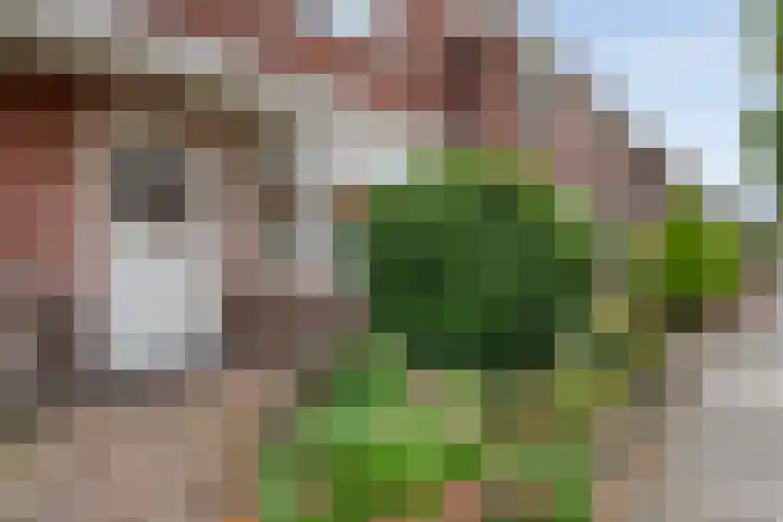 Ootmarsumsestraat 137 Almelo thumbnail 5
